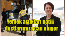 Yemek artıkları patili dostlarımıza can oluyor